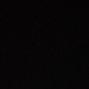 Meet your Posher, Leila